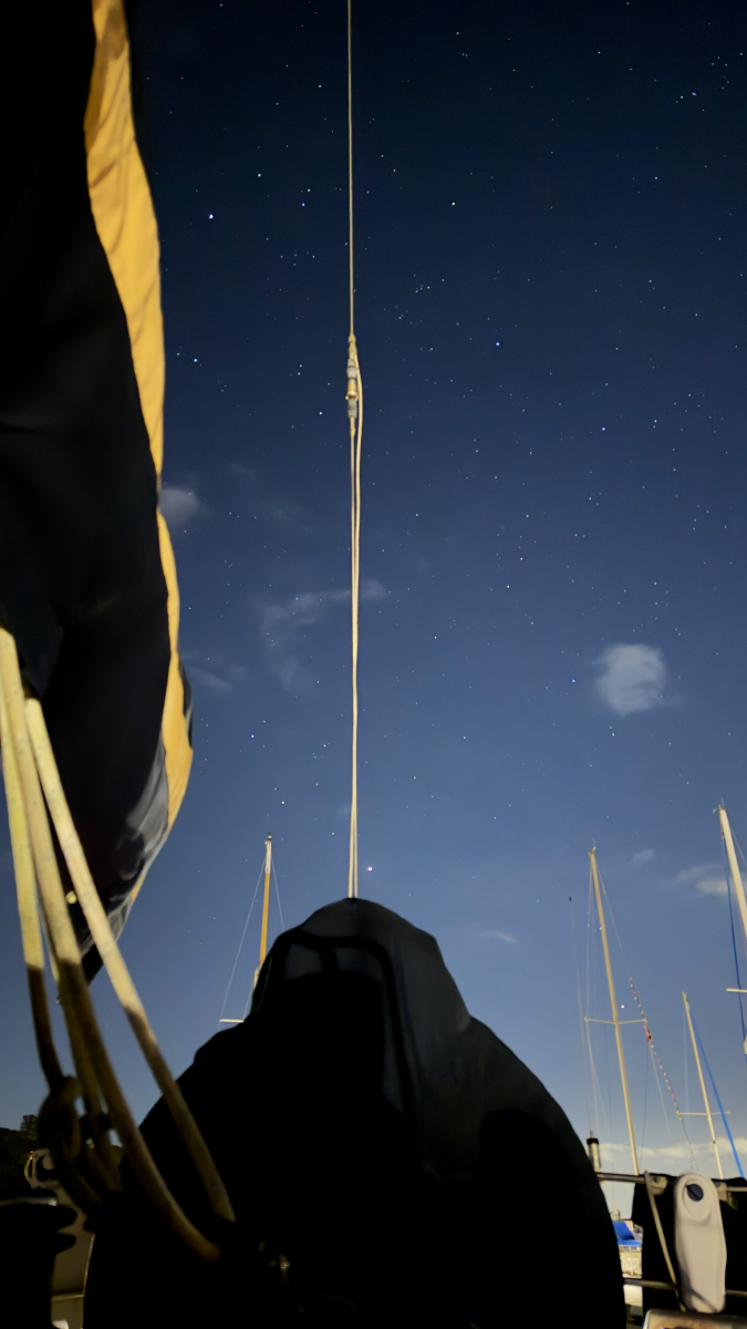 007 View of the night sky