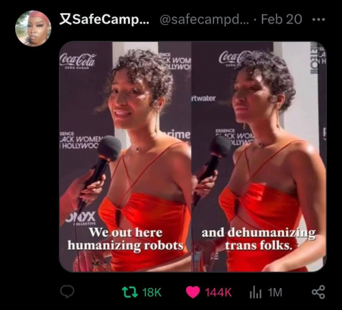 2025-02-25-22.04.58HumanRobotsDehumanTrans