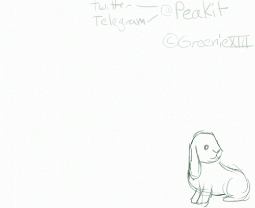 Anidoodle Greeniexiii