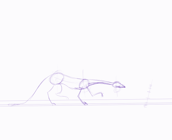 Dragon studies 2019