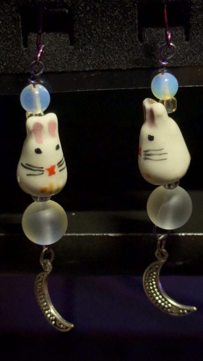 Bunny on the Moon